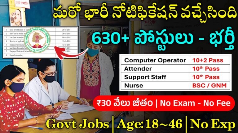 TS Outsourcing Jobs 2024