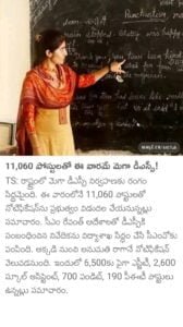 TS DSC Notification 2024 TS DSC Notification 2024