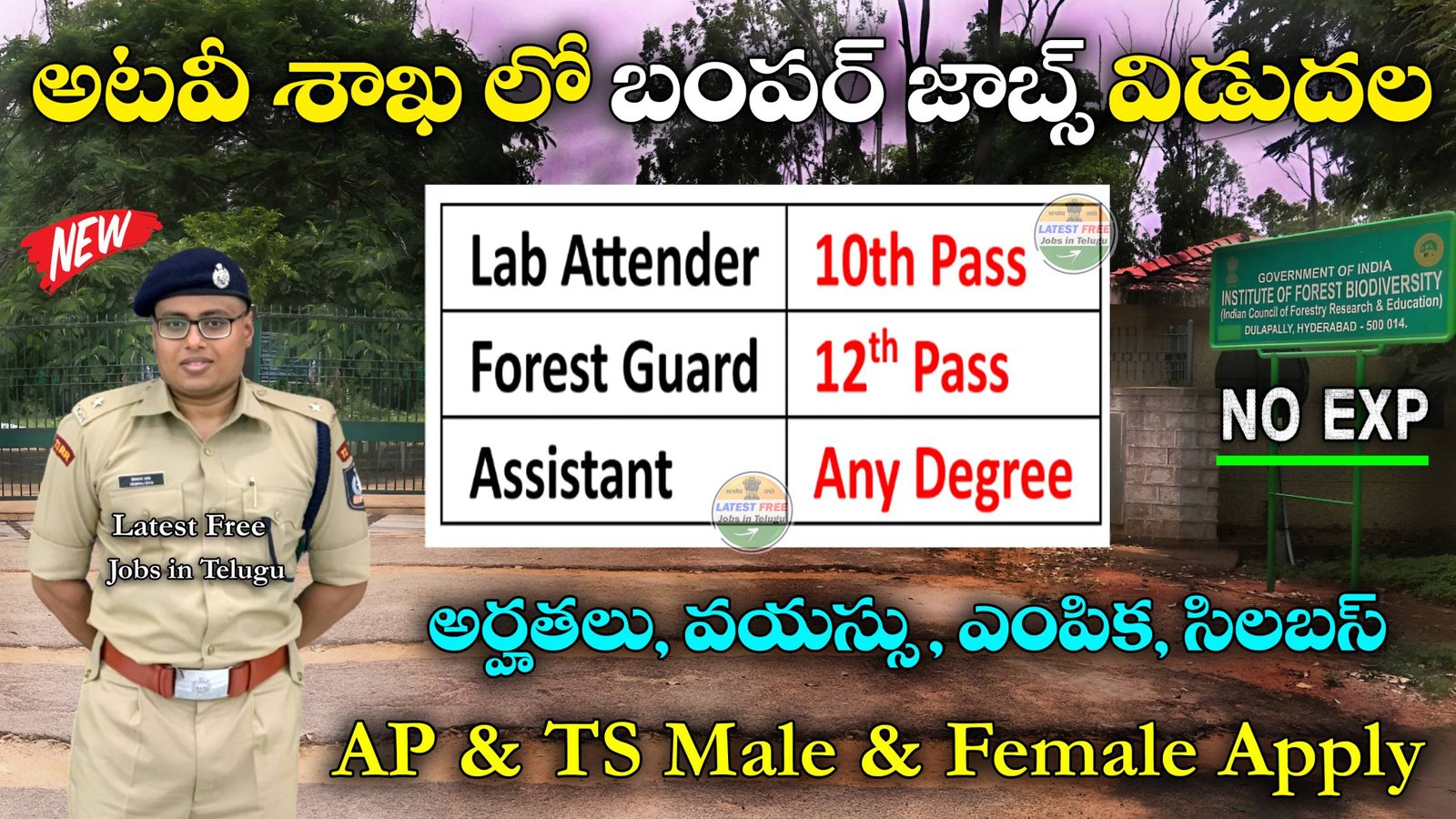 Forest Dept Notification 2024