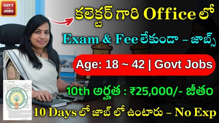 AP Collector Office Jobs