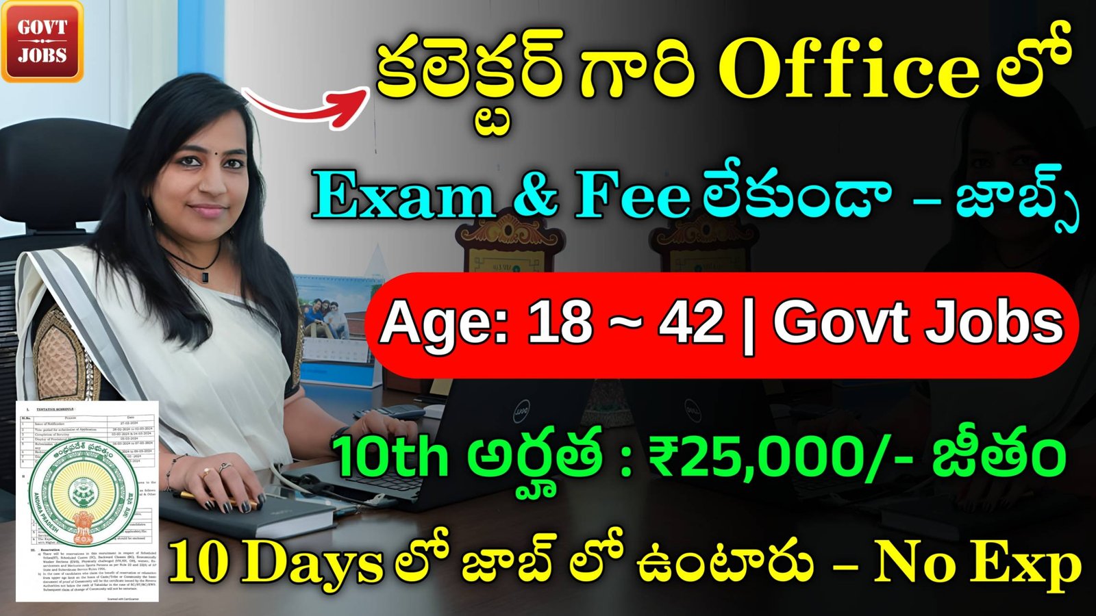 AP Collector Office Jobs