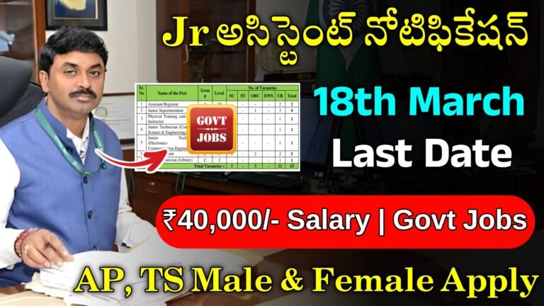 Junior Assistant Jobs 2024