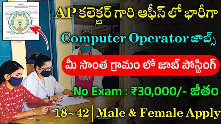 AP Collector Office Jobs 2024