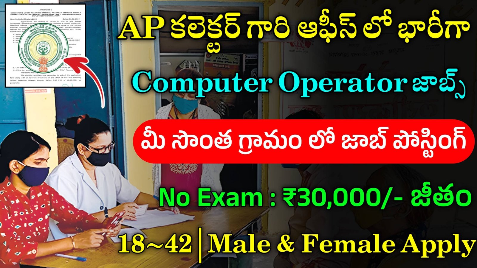 AP Collector Office Jobs 2024