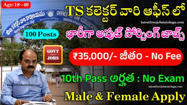 TS Outsourcing Jobs 2024