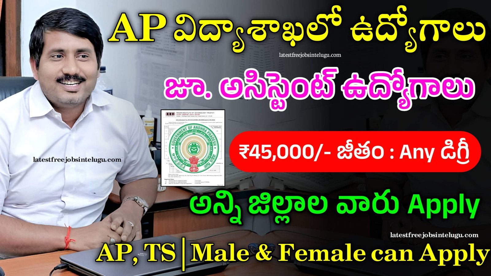 Junior Assistant Jobs 2024