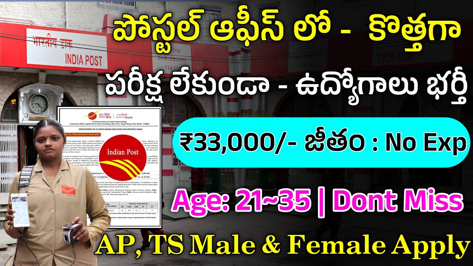 Postal IPPB Executive Jobs 2024