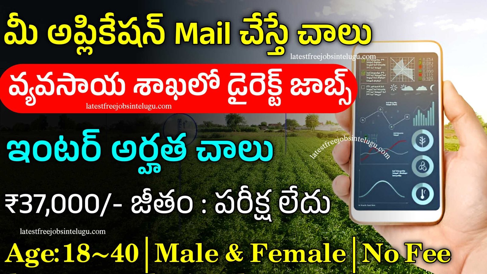 Agriculture Govt Jobs 2024