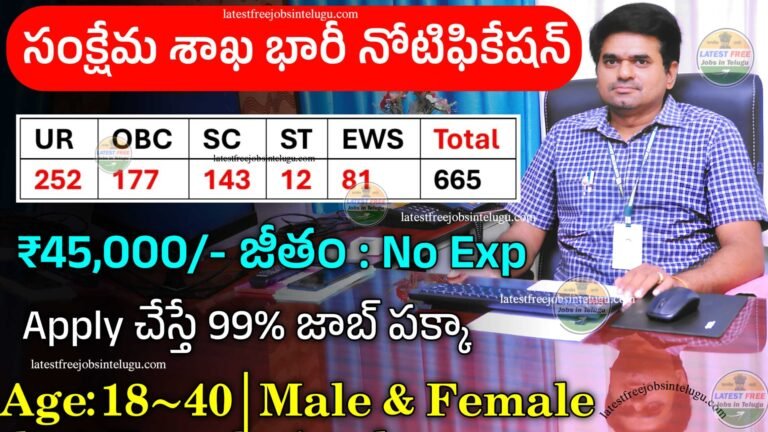 DRRMLIMS Jobs Recruitment 2024